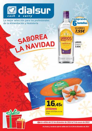 Dialsur Petrer Ofertas Navidad 2014
