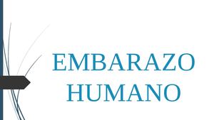 Embarazo Humano