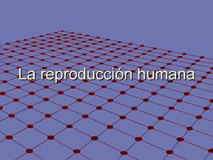 La Reproducción Humana