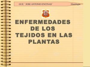 Enfermedades Del Tejido