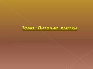 10 класс биология питание клетки