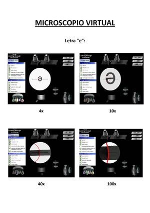 Microscopio Virtual Nfr Lacc1