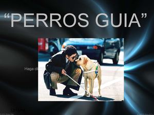 Perros Guia