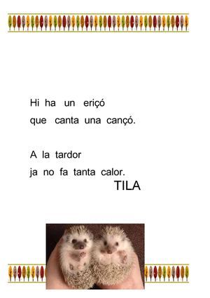 Rodolins Cicle Inicial