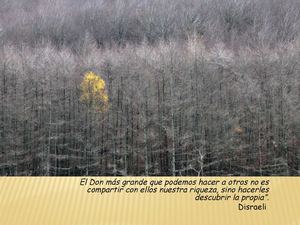 RECURSOS TIC ORIENTACIÓN DICIEMBRE 2014