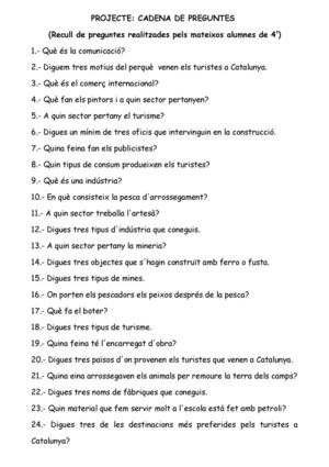 Preguntes I Respostes Projecte Sectors Econòmics