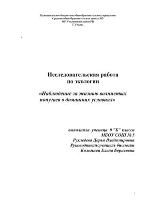 исследовательская работа волнистые попугаи