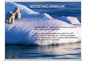Images (3)