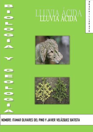 La lluvia ácida