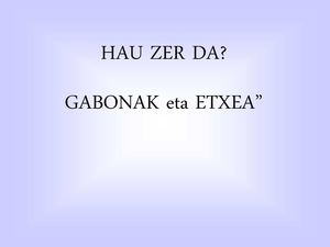 Gabonak eta etxea