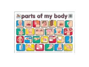 Presentació The Body Blog