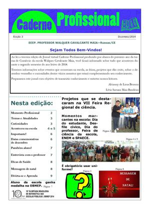 Jornal Virtual 3 edição