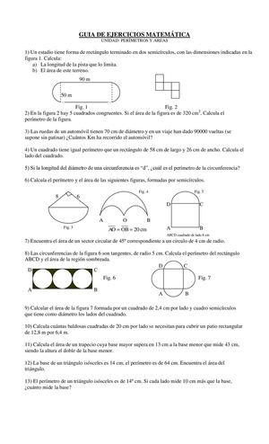Perimetros Y Areas 5 Basico