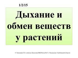 дыхание и обмен веществ у растений