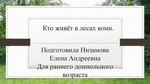 Кто живёт в лесах Коми