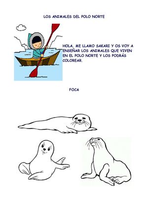 ANIMALES DEL POLO NORTE