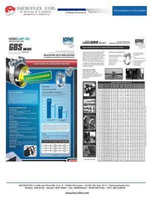 Abrazaderas Industriales Norma