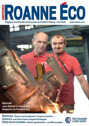 ROANNE ECO n°51 - Décembre 2014