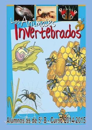 ANIMALES INVERTEBRADOS - 5º B