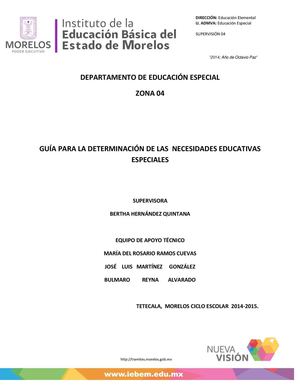 Guía Para La Determinación De Las Nee