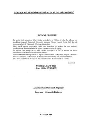 Taksicab Geometri Yüksek Lisans Tezi - Seher Melike Aydoğan
