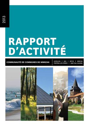 Rapport d'activité 2013