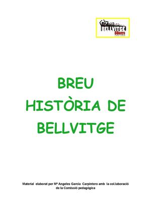 Breu Història De Bellvitge