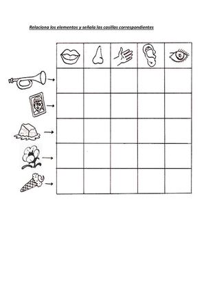 Ficha los sentidos infantil