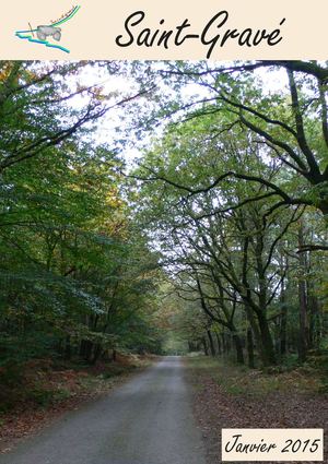 Bulletin Municipal Saint Gravé 2015
