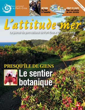 L'attitude Mer n°17