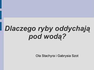 Jak Oddychają Ryby