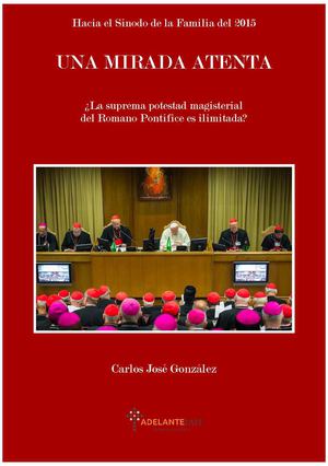 Hacia El Sínodo Una Mirada Atenta Cjg Af Pdf