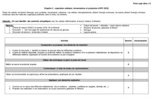 Tp Respiration Fermentation
