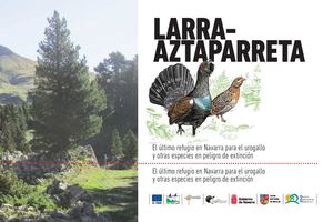 Folleto Protección Urogallo