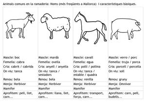 Animals Comuns En La Ramaderia