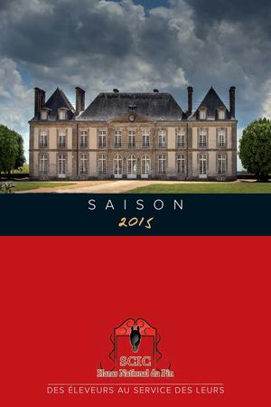 Catalogue Scic Du Pin 2015