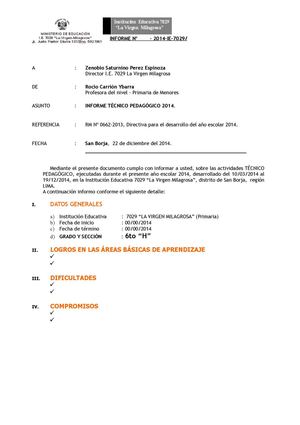 Informe Finalizacion 2014