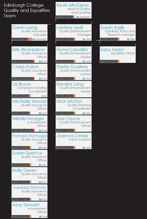 Quality and Equalities Team Structure