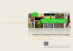 Brochure des Stage Photo et Voyage nature 2014 2015