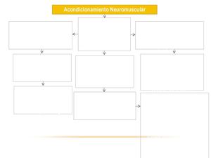 Acondicionamiento Neuro Muscular