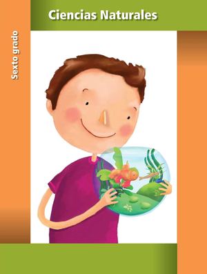 libro primaria 6° grado