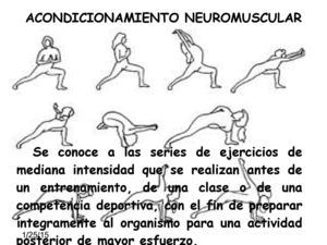 Acondicionamiento Neuromuscular Daniela Cardenas