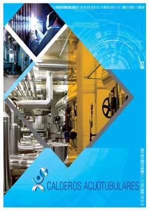 Instalación y Mantenimiento de Calderos Acuotubulares