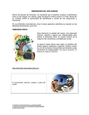 Dimensiones Del Ser
