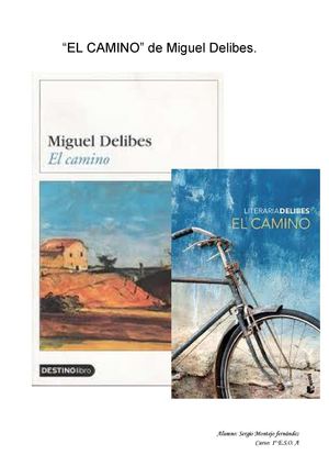 Comentario de la novela (Delibes)