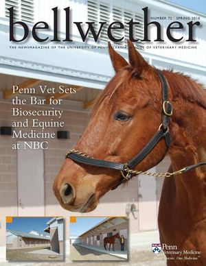 Bellwether 72, Spring 2010