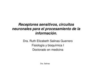 Receptores Sensitivos, Circuitos Neuronales