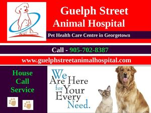 Guelph Street Animal Hospital | Georgetown Veterinary Clinic
