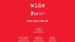 WIDE - EFM 2015 LINE UP