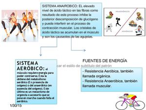 Sistema De Entrenamiento